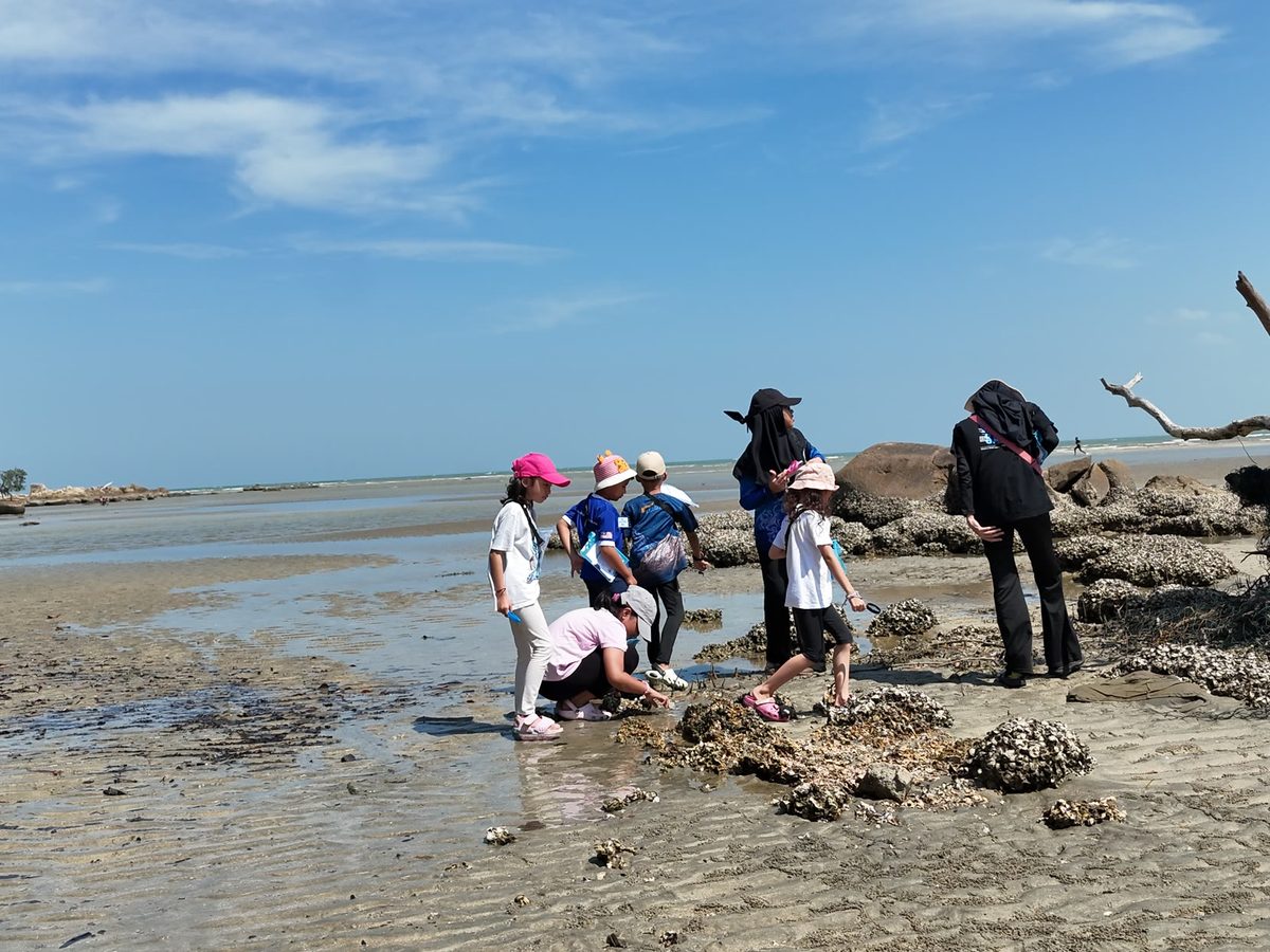 Children examining the oyster rocks at low tide