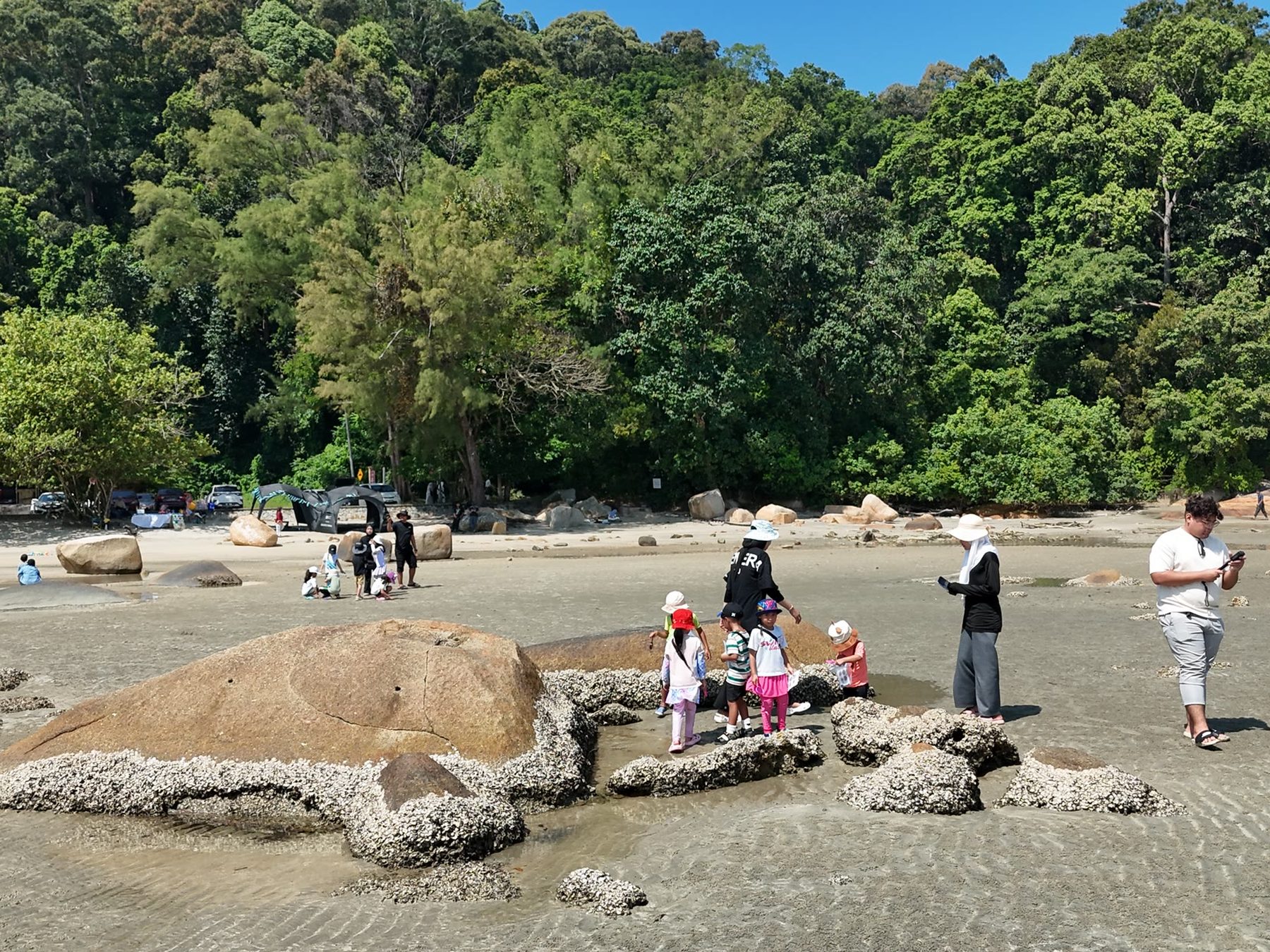 The shoreline at Pantai Tembeling during a Little Marine Scientists session, one of the community programmes run by the Kalsa Dermaga group