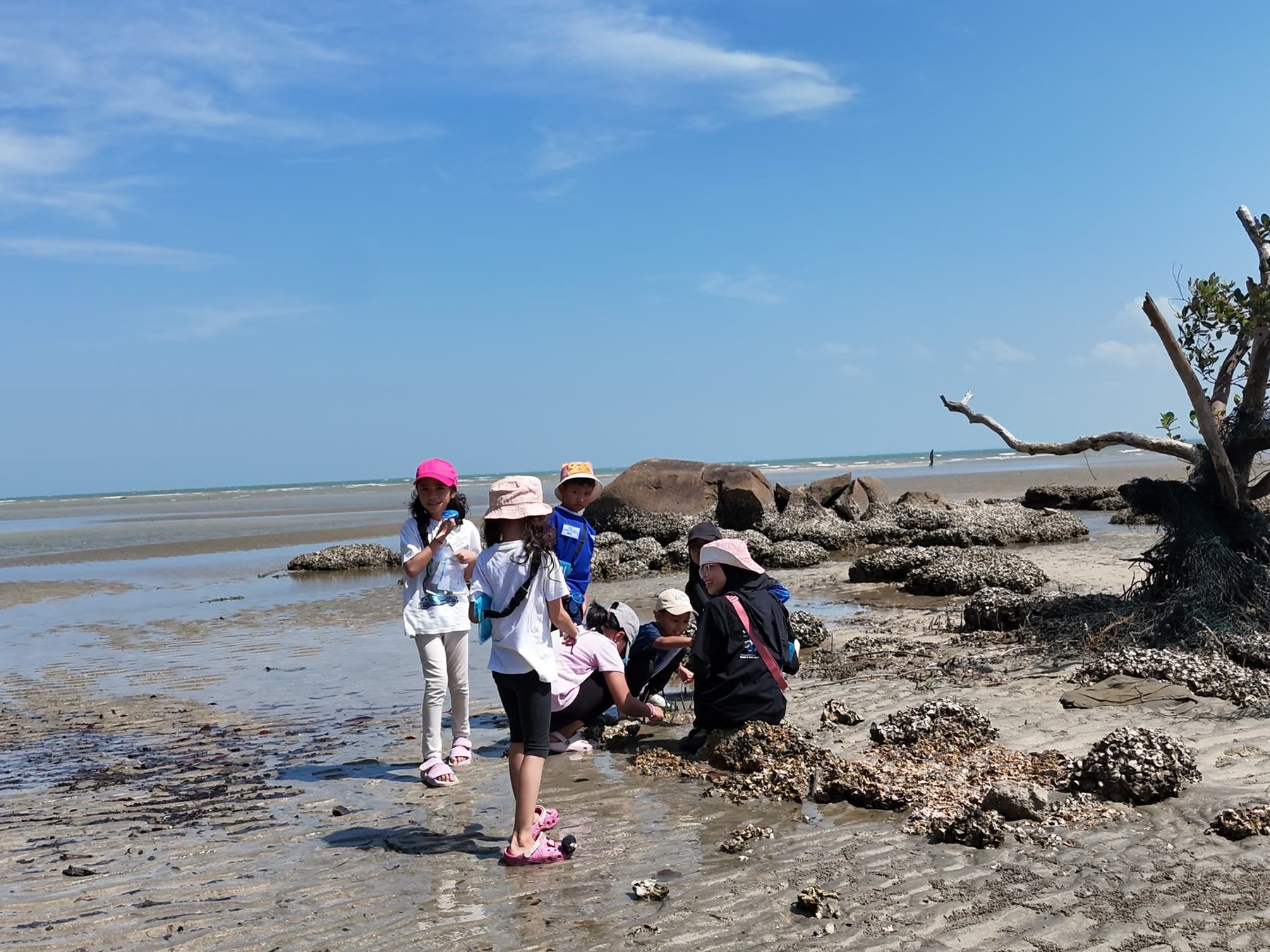 Children exploring the oyster rocks at low tide during a Little Marine Scientists session at Pantai Tembeling