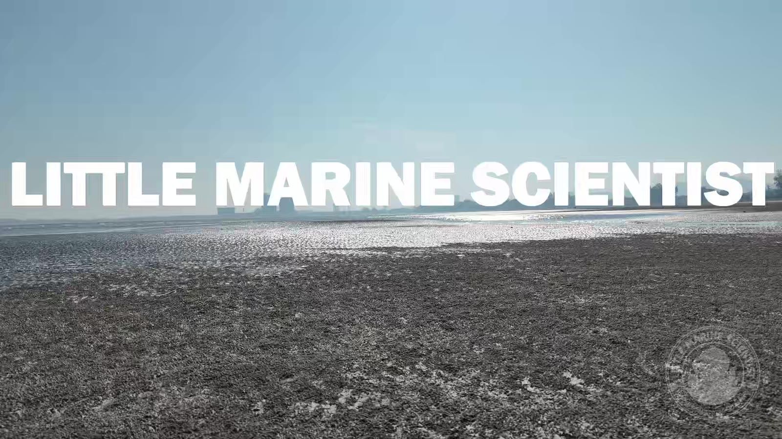 Title card of the Little Marine Scientists session film